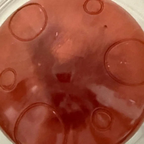 Bronze-red Resin Mushroom Jar - Picture 5 of 5